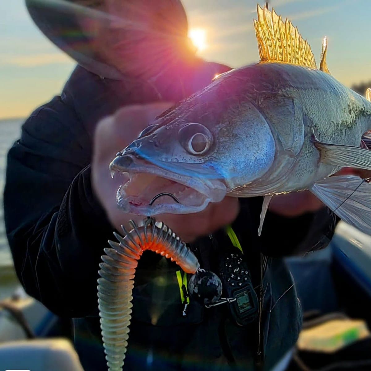 Paul am Wasser — Eindruck 2 von @luap4fishing