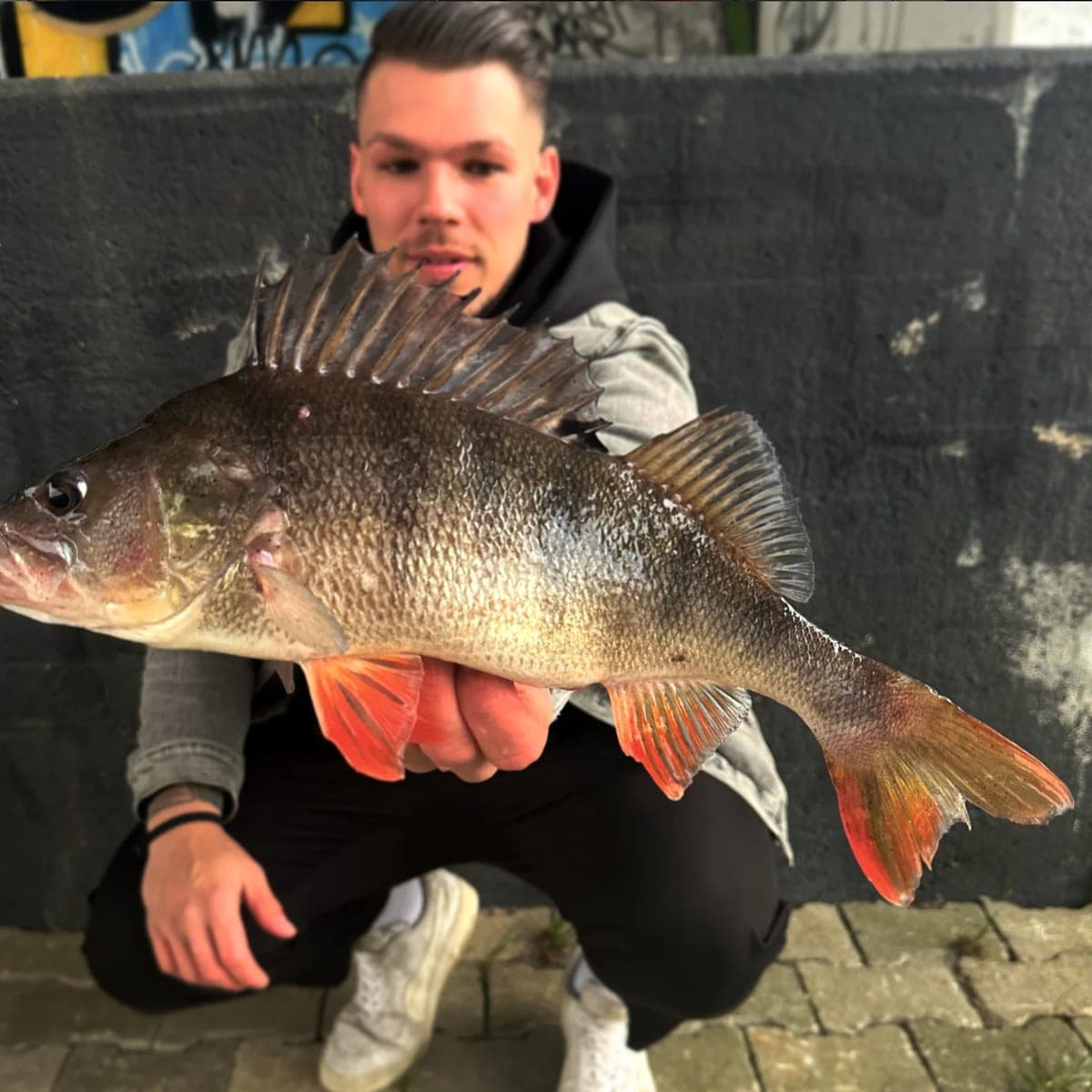 Paul am Wasser — Eindruck 4 von @luap4fishing